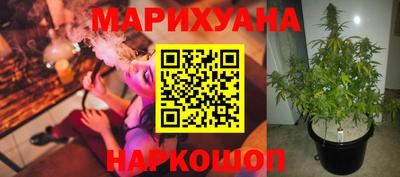 apvp Будённовск