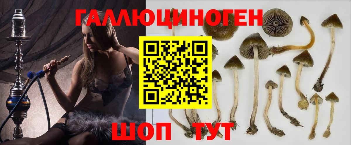 Галлюциногенные грибы мухоморы  Вход с VPN  Ставрополь 